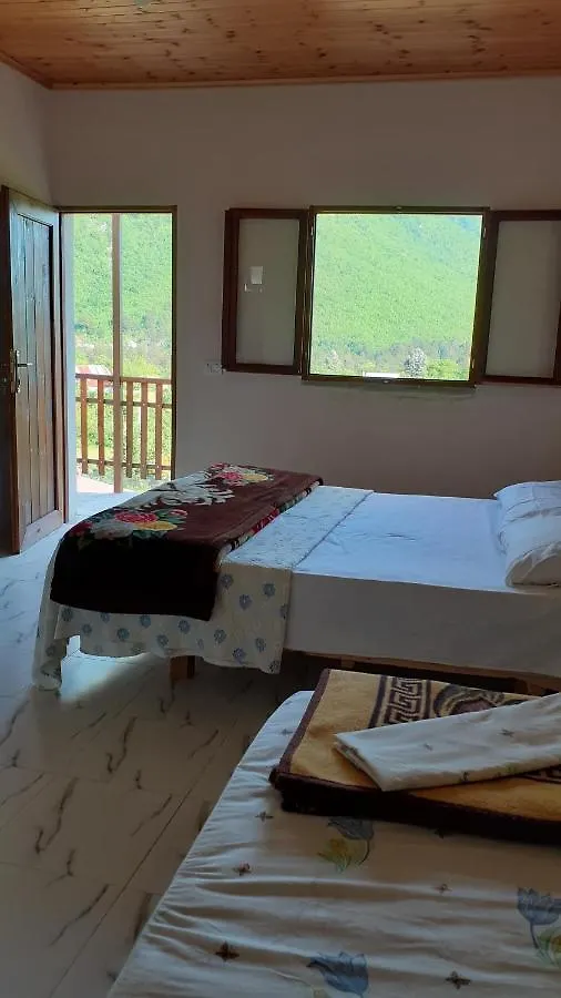 Driti Gh Nderlysa Hotel Shkodër 0*,  Albanië
