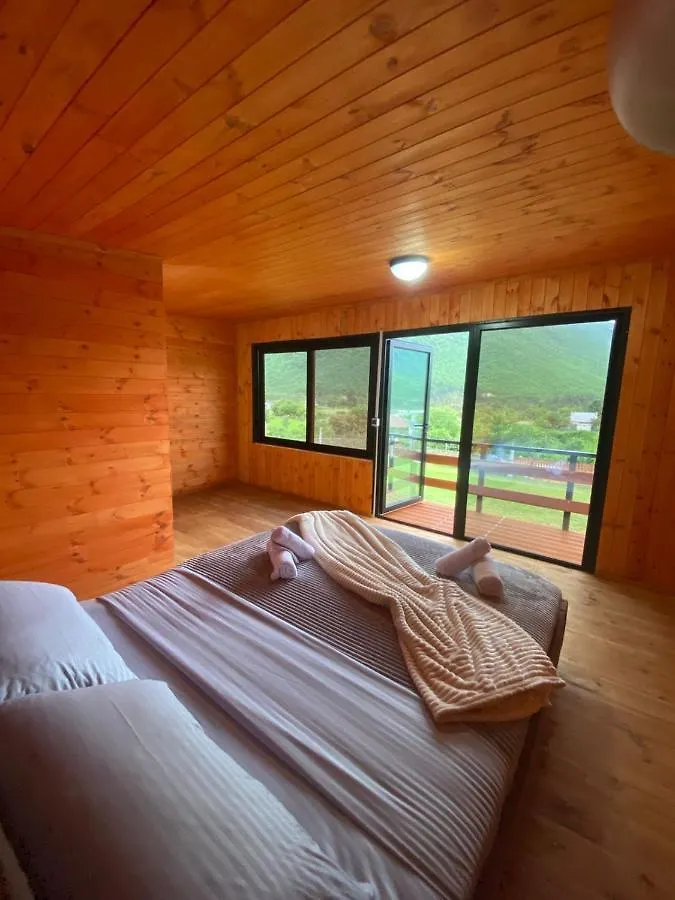 Gasthuis Driti Gh Nderlysa Hotel Shkodër Albanië